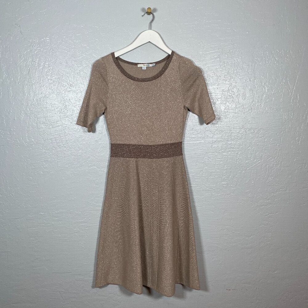 Boden Women 2R Champagne Milano Sweater Dress Fit Flare Metallic New Years Eve